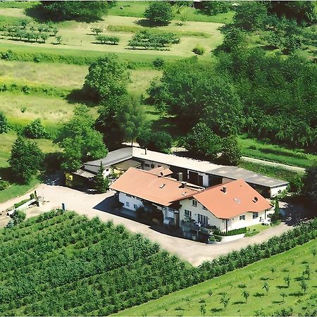Weingut Ringwald Apartment Herbolzheim Ngoại thất bức ảnh