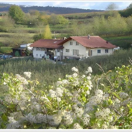 Weingut Ringwald Apartment Herbolzheim Ngoại thất bức ảnh