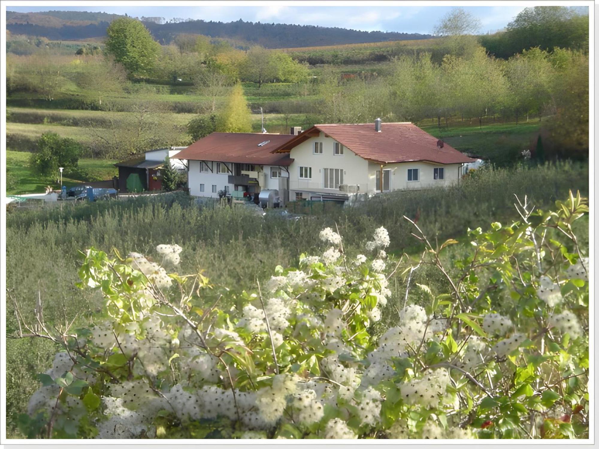 Weingut Ringwald Apartment Herbolzheim Ngoại thất bức ảnh